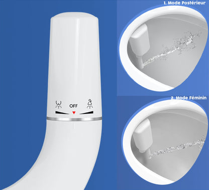 Toilettes japonaises