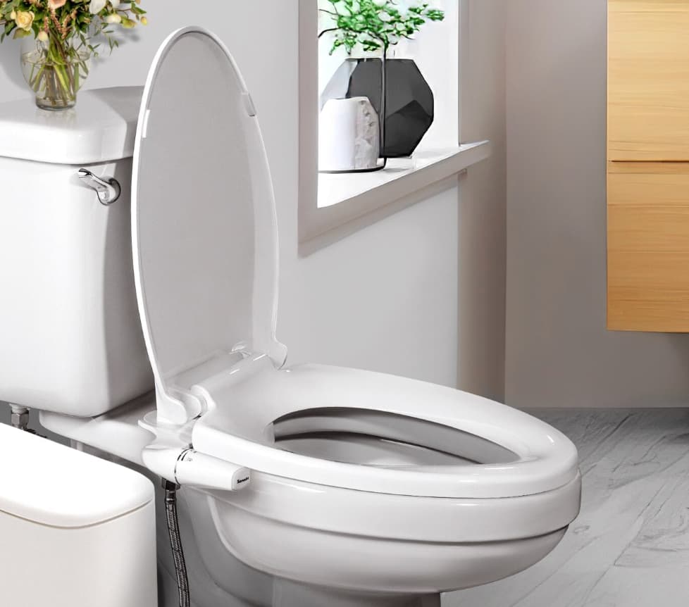 Toilettes japonaises 